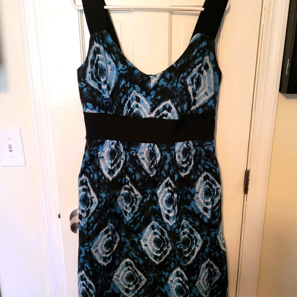 GORGEOUS Torrid Dress